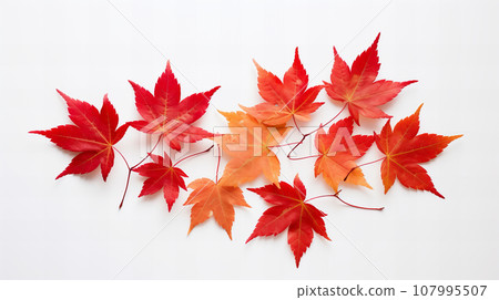 秋葉背景材料 107995507