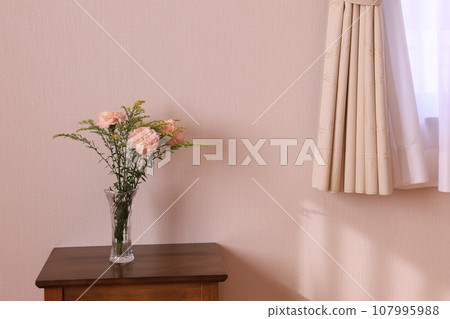 carnation and solidaco carnation and solidaco 107995988