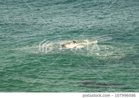 ocean view ocean view 107996086