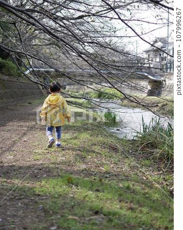 Rear view of a boy climbing on playground equipment in the park Rear view of a boy climbing on playground equipment in the park 107996267