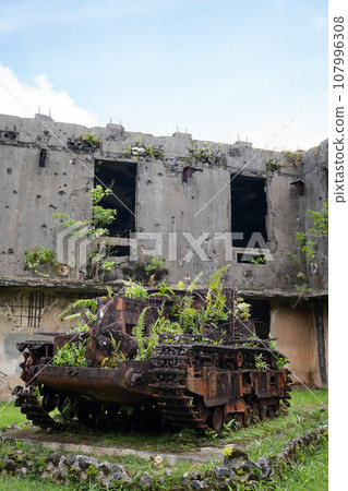 Palau war ruins Palau war ruins 107996308