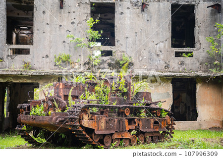 Palau war ruins Palau war ruins 107996309
