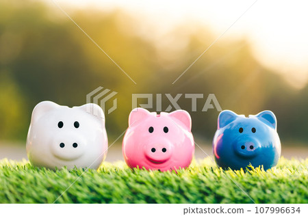 Three piggy banks placed place on the grass. Saving for future investment, retirement concept. planning savings money of coins to buy a home concept for property, mortgage and real estate investment. 107996634