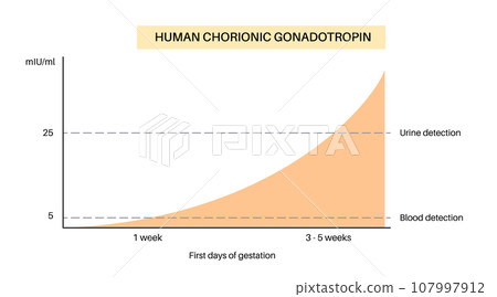 Hormones in pregnancy Hormones in pregnancy 107997912