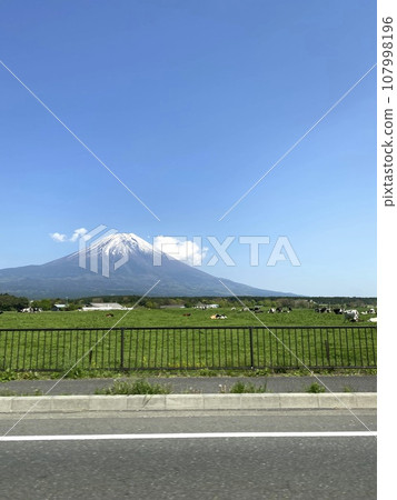 從路上看到的富士山和牛 107998196
