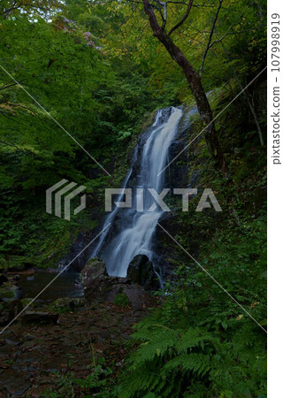Utsugawa Yotsukura Falls 107998919