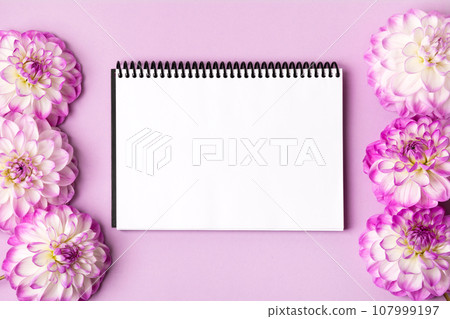 Notebook with clean page with purple flowers dahlias on lilac background. Colorful autumn flower background with space for text. Nature trendy decorative design. Flat lay. 107999197