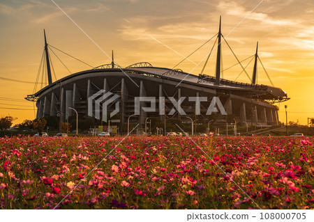 Toyota Stadium and cosmos fields bathed in the setting sun (Toyota City, Aichi Prefecture) 108000705