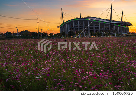 Toyota Stadium and cosmos fields bathed in the setting sun (Toyota City, Aichi Prefecture) 108000720