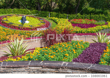 Den公園,生動的秋天花壇<愛知縣安城市> Den公園,生動的秋天花壇<愛知縣安城市> 108001061