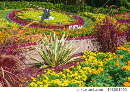 Den公園,生動的秋天花壇<愛知縣安城市> Den公園,生動的秋天花壇<愛知縣安城市> 108001063