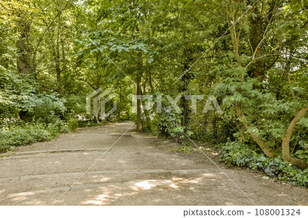 a dirt road with trees and bushes on both sides, in the sun shining through the leaves to the ground 108001324