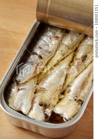 Oil sardines (canned) 108001351