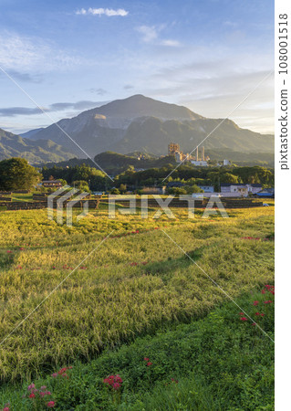 Terasaka rice terraces and Mt. Buko in autumn, Chichibu District, Saitama Prefecture 108001518