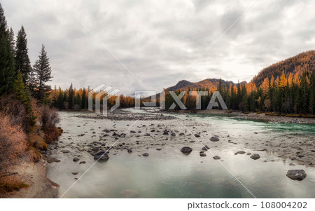 Wide flood of the river. Beautiful misty mountain landscape with wide Argut river. Gloomy scenery with big mountain river in mist. Dark atmospheric view to great river among mountains in rainy weather 108004202