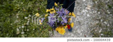 Beautiful bouquet of wild meadow flowers 108004439