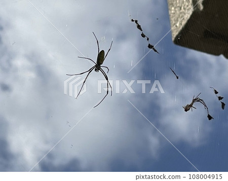Spider and cloud Spider and cloud 108004915
