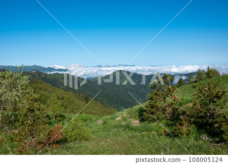 Mountain landscape. Green alpine meadow and a view of the Fisht, Oshten mountains and the Lago-Naki plateau Mountain landscape. Green alpine meadow and a view of the Fisht, Oshten mountains and the Lago-Naki plateau 108005124