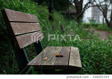 A lonely bench 108005343