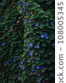 花 108005345