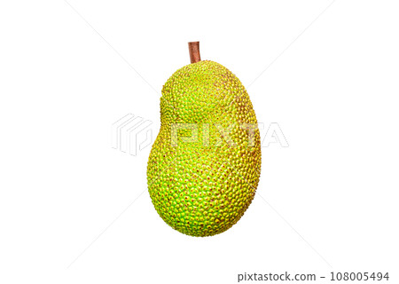 Jackfruit die-cut image. Beautiful white background. 108005494