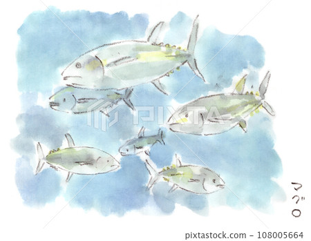 Migration of tuna Migration of tuna 108005664