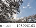 富士靈園的櫻花 108006163