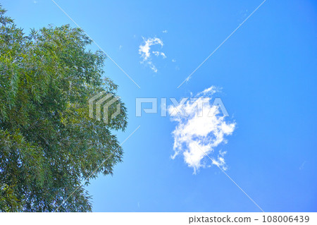 Blue sky and cloud image 108006439