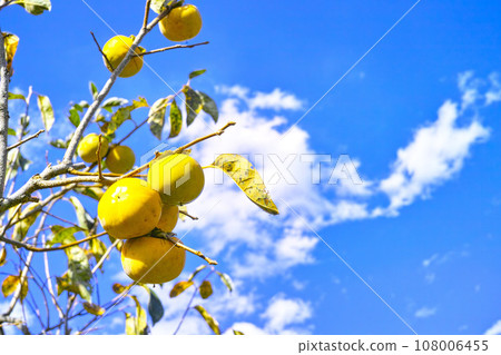 藍色的天空和雲圖像 108006455