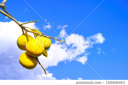 Blue sky and cloud image 108006463