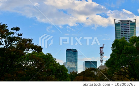 Shibuya buildings seen from Yoyogi Park 108006763
