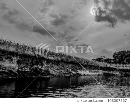 Bad farming practice of planting row crops to the edge of a waterway. Bad farming practice of planting row crops to the edge of a waterway. 108007267