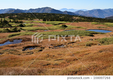 Mt. Naeba summit grass autumn leaves 108007268