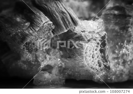 Focus stack of freezer burned rhubarb with ice crystals Focus stack of freezer burned rhubarb with ice crystals 108007274