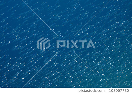 Silas Silas 108007780