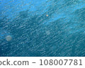 Silas 108007781