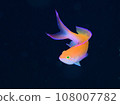 Phantomhound 108007782