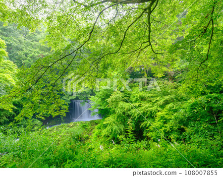 Yamanashi_Beautiful fresh greenery of Kaneyama waterfall scenery Yamanashi_Beautiful fresh greenery of Kaneyama waterfall scenery 108007855
