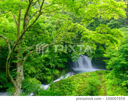 山梨縣_金山瀑布風景的美麗新綠 108007859