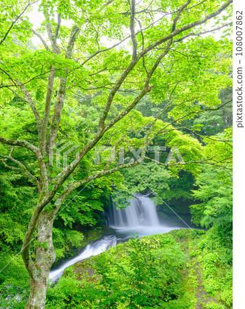山梨縣_金山瀑布風景的美麗新綠 山梨縣_金山瀑布風景的美麗新綠 108007862