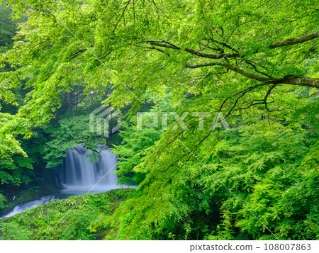 Yamanashi_Beautiful fresh greenery of Kaneyama waterfall scenery 108007863