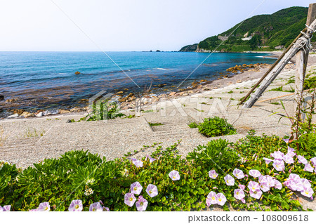 [Niigata Prefecture, Sado, Iwatani Exit] Iwatani Exit, where the original scenery of Sado remains, early summer edition 108009618