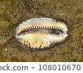 Yakushima Dakara 108010670
