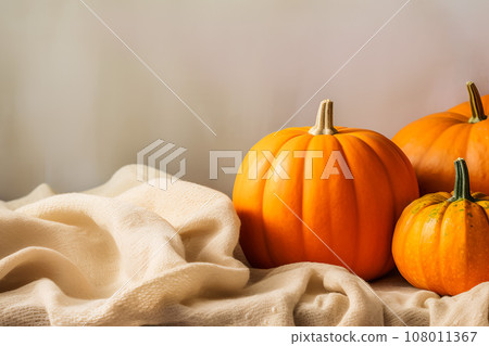 Still life with ripe orange pumpkins on soft cozy blanket 108011367