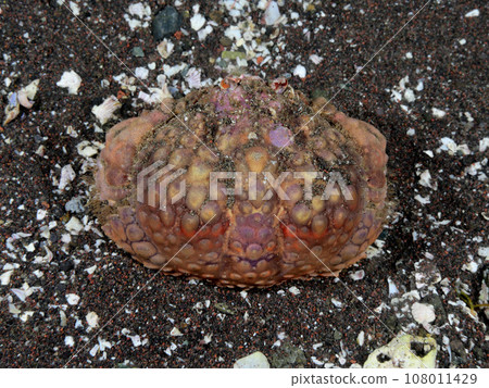 markobkarappa markobkarappa 108011429