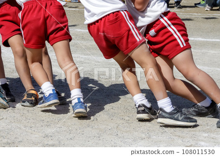 Image of tug of war by kindergarteners [Autumn sports day] 108011530