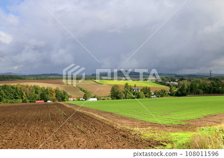 Patchwork Road (Biei Town, Kamikawa District, Hokkaido) 108011596
