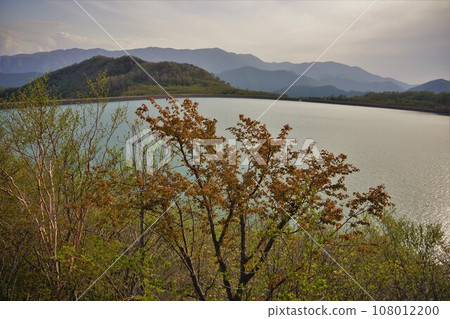 Lake surface of Numabara dam 108012200