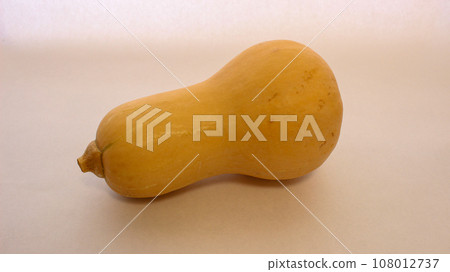 黃油堅果南瓜 108012737