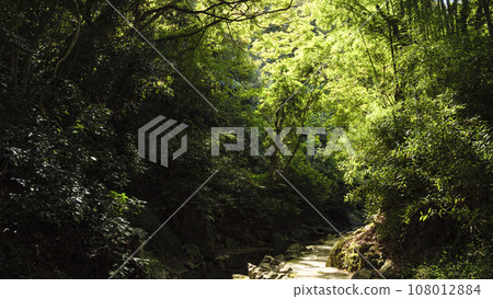 The last clear stream of the Miura Peninsula (Maeda River Valley) 108012884